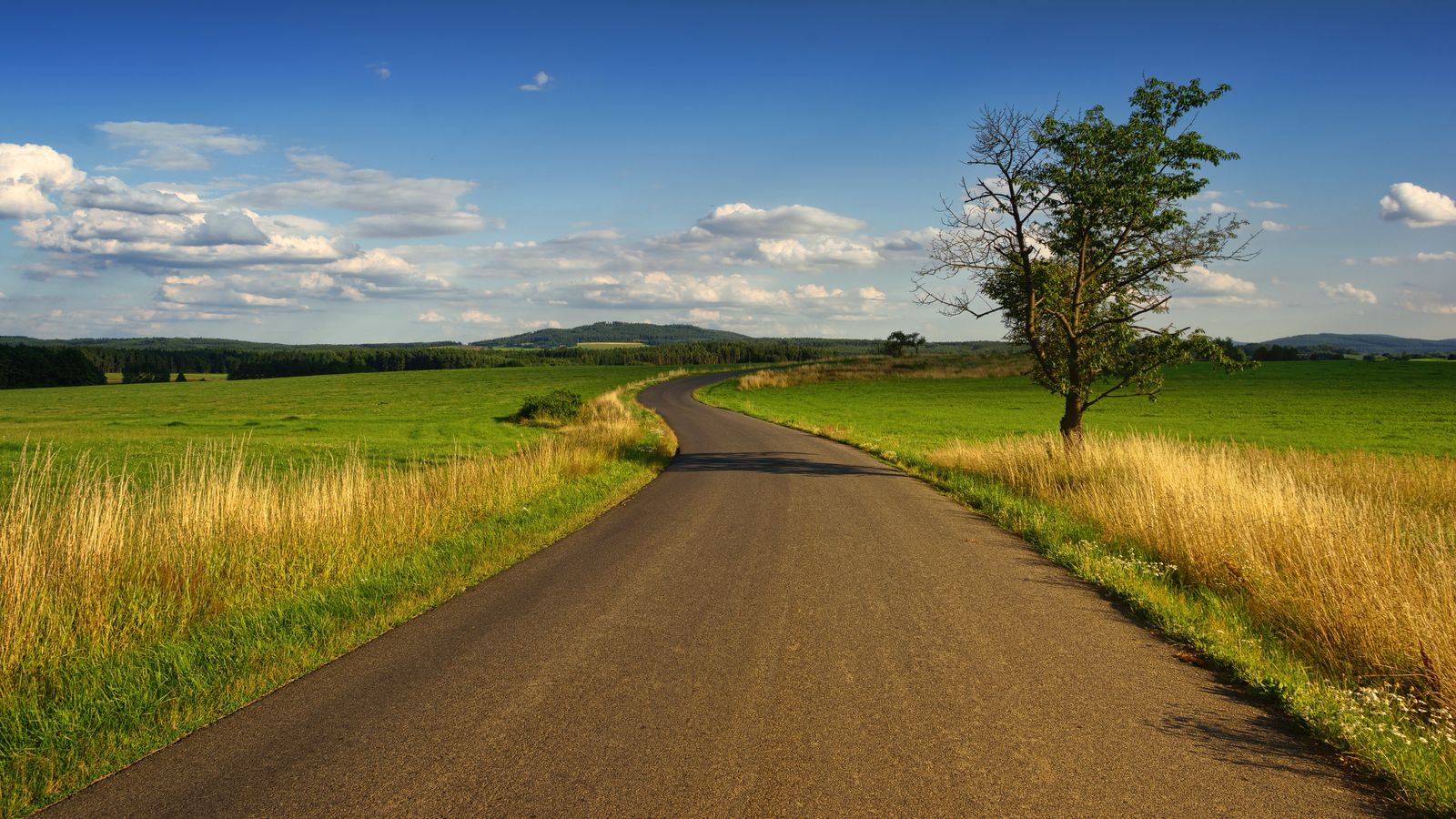 A winding road through a field — deciding the route before you pave it